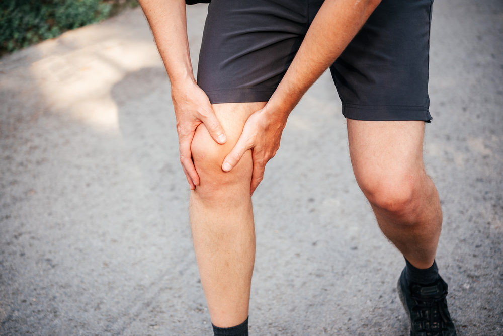 The Meniscus Inside of the Knee